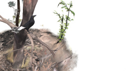 画像ギャラリー No.003のサムネイル画像 / 愛らしいウォンバットと森をお散歩。iOS向けアドベンチャー「カユプテの木」を紹介する「(ほぼ)日刊スマホゲーム通信」第1901回