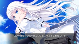 ꡼ No.003Υͥ / Nintendo SwitchǡSummer Pocketsפ2019ǯդȯꡣ ڻḶƤPCɥ٥㡼ΰܿ