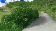 ꡼ No.030Υͥ / Nintendo SwitchǡSummer Pocketsפ2019ǯդȯꡣ ڻḶƤPCɥ٥㡼ΰܿ