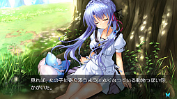 ꡼ No.003 | Summer Pockets