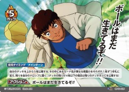 ꡼ No.002 | ȥ졼ǥ󥰥ɥ֥ץƥեåȥܡ륫ɥפȯ