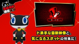 ꡼ No.001 | ֥ڥ륽5 ץХȥɲǤ俷ݥåȡֵȾͻפҲ𤹤ࡼӡ֥륬̿#3פ