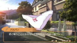 ꡼ No.005 | SwitchǡPanty PartyפΥץ쥤ݡȡѥĤꡤѥĤݤåġѡꥣ