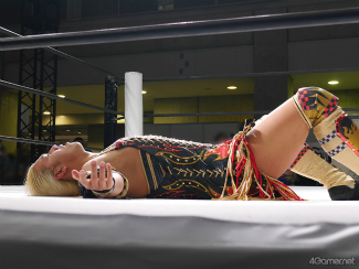 ꡼ No.018Υͥ / AnimeJapanǮŹ礬Ÿ줿֥󥬥󥢥סߡDDTץ쥹ץܥޥåݡ