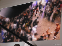 ꡼ No.023Υͥ / AnimeJapanǮŹ礬Ÿ줿֥󥬥󥢥סߡDDTץ쥹ץܥޥåݡ