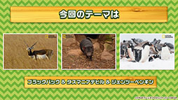 ꡼ No.002 | ХȥѡȤ֥ꥢ󤿤פʤɥॷƥबˡޥۡAC֤Υե3פθȯɽ줿ǿϤ