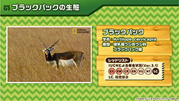 ꡼ No.003 | ХȥѡȤ֥ꥢ󤿤פʤɥॷƥबˡޥۡAC֤Υե3פθȯɽ줿ǿϤ