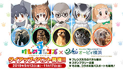 ꡼ No.013 | ץǡǡ֤Υե3פOP䥷硼ȥ˥κǿäˡ»ܤ줿ͤݡ