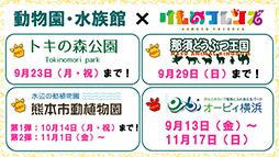 ꡼ No.016 | ץǡǡ֤Υե3פOP䥷硼ȥ˥κǿäˡ»ܤ줿ͤݡ