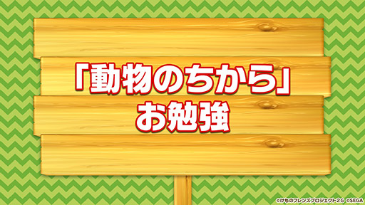 ꡼ No.020 | ץǡǡ֤Υե3פOP䥷硼ȥ˥κǿäˡ»ܤ줿ͤݡ