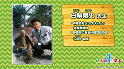 ꡼ No.021 | ץǡǡ֤Υե3פOP䥷硼ȥ˥κǿäˡ»ܤ줿ͤݡ