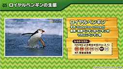 ꡼ No.023 | ץǡǡ֤Υե3פOP䥷硼ȥ˥κǿäˡ»ܤ줿ͤݡ