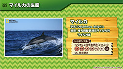 ꡼ No.024 | ץǡǡ֤Υե3פOP䥷硼ȥ˥κǿäˡ»ܤ줿ͤݡ