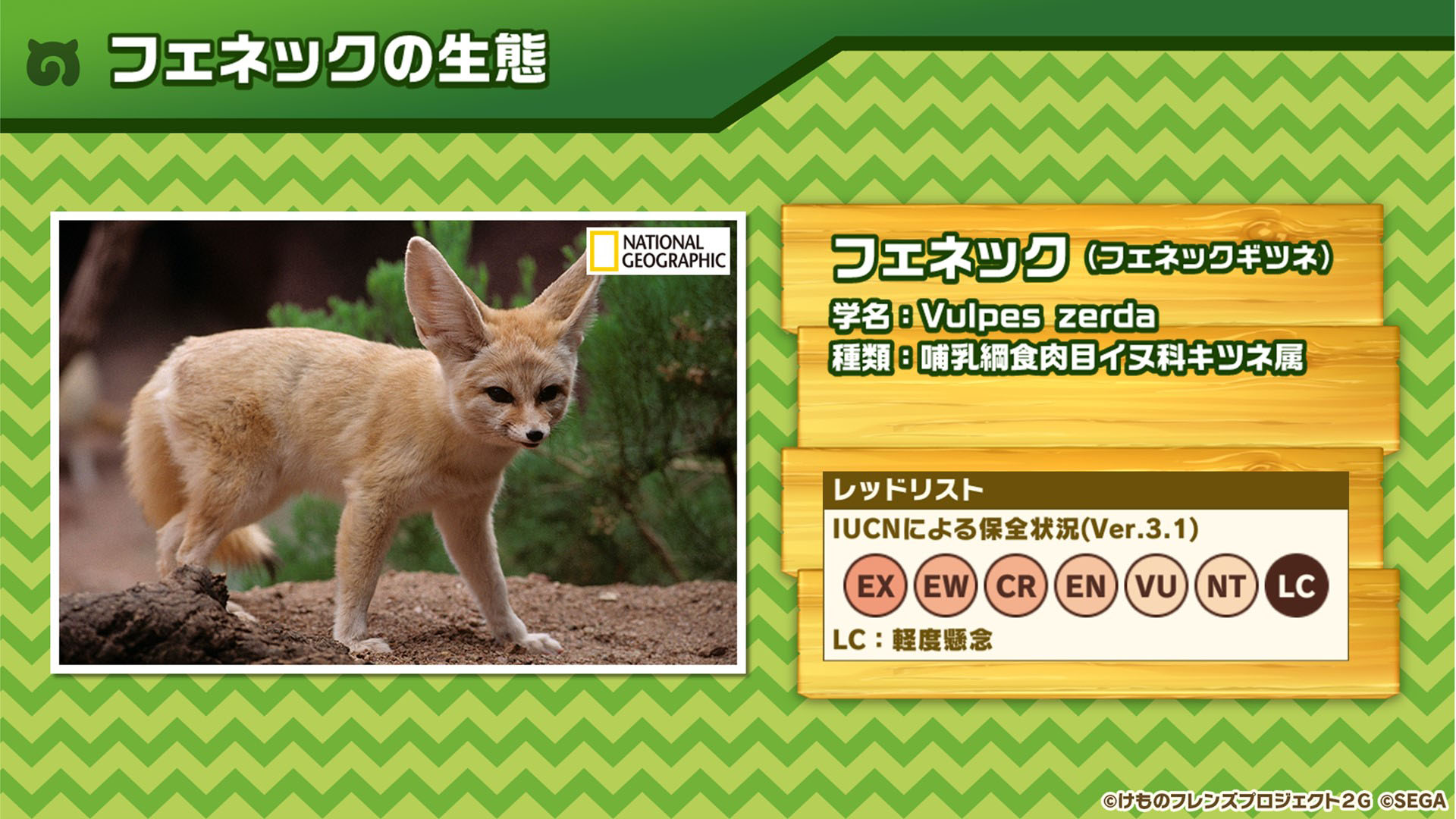 画像集no 015 けもフレ3 事前登録数15万件達成に伴い ゲーム内キャラ トキ の配付が決定 ログインボーナス情報なども発表された公式生放送の模様をレポート 画像集no 015 けもフレ3 事前登録数15万件達成に伴い ゲーム内キャラ トキ の配付が決定 ログインボーナス情報なども発表された公式生放送の模様をレポート