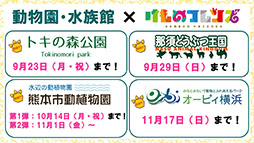 ꡼ No.014 | ֤ե3סϿ15ãȼ⥭֥ȥפդꡣܡʥʤɤȯɽ줿ͤݡ