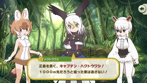 ꡼ No.006 | ֤Υե3ץץ쥤ݡȡ̤ͭδΤѡ򡤥ե󥺤ȤΤӤޤä