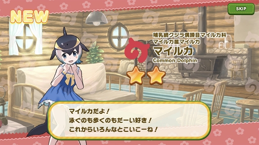 ꡼ No.004 | ֤Υե3ץᥤ󥹥ȡ꡼3ɲäǰڡ󤬳šե󥺤ޤ򥸥å륤٥ߥȤץ