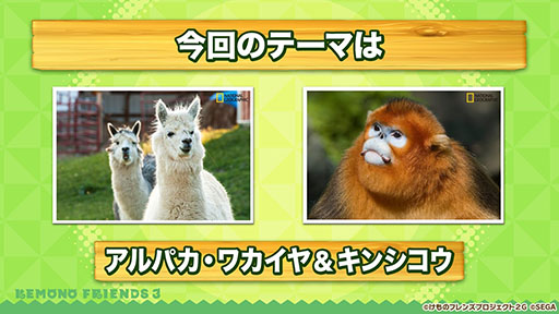 ꡼ No.009 | ֤ե3פ˥ѥ參䡤о졣˥֤礳פκǿä줿ͤݡ