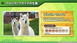 ꡼ No.010 | ֤ե3פ˥ѥ參䡤о졣˥֤礳פκǿä줿ͤݡ