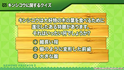 ꡼ No.013 | ֤ե3פ˥ѥ參䡤о졣˥֤礳פκǿä줿ͤݡ