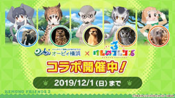 ꡼ No.030 | ֤ե3פ˥ѥ參䡤о졣˥֤礳פκǿä줿ͤݡ