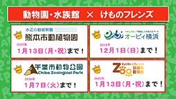 ꡼ No.032 | ֤ե3פ˥ѥ參䡤о졣˥֤礳פκǿä줿ͤݡ