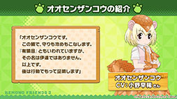 ꡼ No.005 | ץǡ֤ե3פ˥ĥ͡󥶥󥳥鿷ե󥺤о졣ǯǯϤ˳Ť륤٥Ⱦʤɤȯɽ줿ݡ