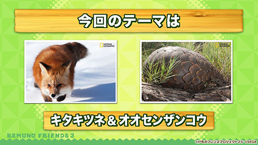 ꡼ No.023 | ץǡ֤ե3פ˥ĥ͡󥶥󥳥鿷ե󥺤о졣ǯǯϤ˳Ť륤٥Ⱦʤɤȯɽ줿ݡ