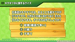 ꡼ No.025 | ץǡ֤ե3פ˥ĥ͡󥶥󥳥鿷ե󥺤о졣ǯǯϤ˳Ť륤٥Ⱦʤɤȯɽ줿ݡ