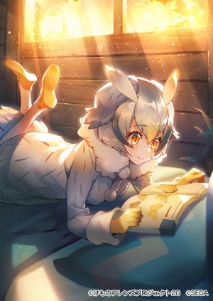 ���������꡼ No.001�Υ���ͥ������ / �֤���Υե��3�ס����ʥꥪ���٥�ȡ���̣♡������Х�󥿥���פ�����