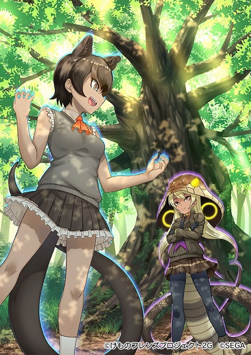 画像ギャラリー No.009のサムネイル画像 / 「けものフレンズ3」,イベント“体力測定 ホワイトライオン編”を開催。★4ホワイトライオンが手に入る期間限定しょうたいも