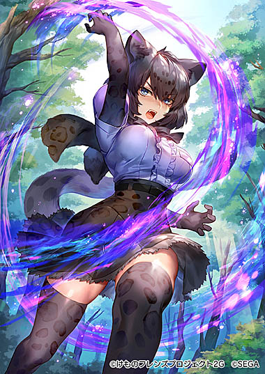 ���������꡼ No.011�Υ���ͥ������ / �֤���Υե��3�פǡ�����¬�� ���ߥᥭ����ԡפȡ֥���ꥢ�����ݽ��׳���