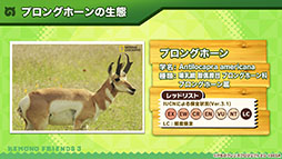 画像ギャラリー No.009のサムネイル画像 / 「けもフレ3」,イッカクらが登場するシナリオイベントが6月9日にスタート。「セガ60周年記念 無料しょうたい」は開催期間の延長が決定