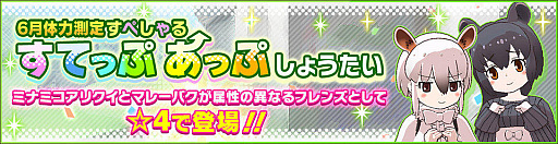 ���������꡼ No.006�Υ���ͥ������ / �֤���Υե��3�ס����٥�ȡ�����¬�� �ߥʥߥ����ꥯ�����ޥ졼�Х��ԡפ�����