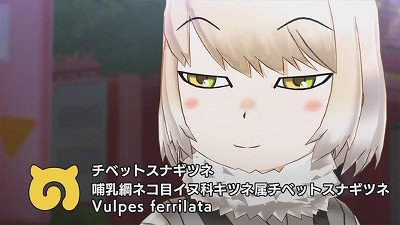 ꡼ No.009Υͥ / ֤Υե3ס٥ȡΩơΥ饤եСɤ