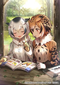 画像ギャラリー No.009のサムネイル画像 / 「けものフレンズ3」でイベント「体力測定 コツメカワウソ編」前半が開催
