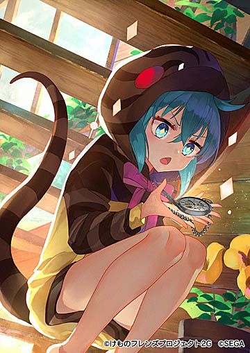 ���������꡼ No.004�Υ���ͥ������ / �֤���Υե��3�ס����ָ��ꤷ�礦�����ʥ�����˺פ��������������ƥ󥷥�󡪤��礦�����ʸ�Ⱦ�˳���