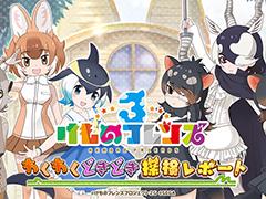 �֤���Υե��3�׸�����������2��25��20��00���ۿ�