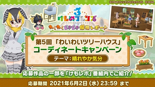 ꡼ No.004 | ֤Υե3פ˿ե󥺡ȥߥߥĥ͡ɤо