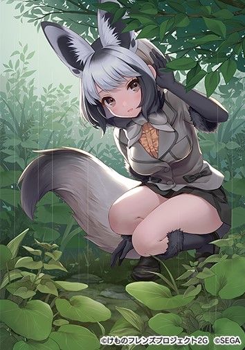 ꡼ No.010Υͥ / ֤Υե3פ˿ե󥺡ȥߥߥĥ͡ɤо