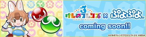 ꡼ No.002Υͥ / ֤Υե3ס٥ȡ¬ ɥԡɤ