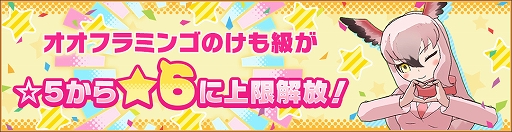 ꡼ No.012Υͥ / ֤Υե3ס٥ȡ¬ ɥԡɤ