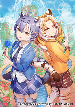 ꡼ No.008 | ֤Υե3ס٥ȡ¬ СХ饤ԡɤ