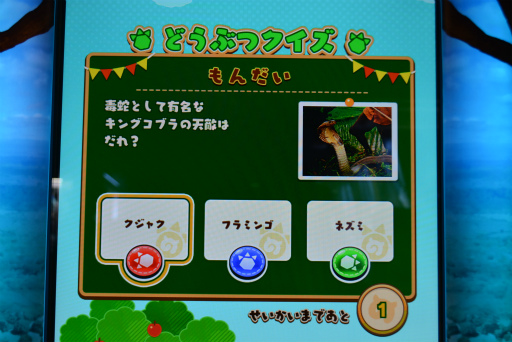 画像ギャラリー No.016のサムネイル画像 / 「けものフレンズ3 プラネットツアーズ」のロケテストがスタート。バリエーションが増したフレンズ達の“ちからくらべ”が楽しめる