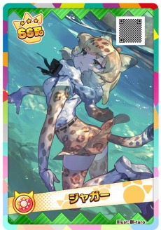 ꡼ No.011 | ǡ֤Υե3 ץͥåȥĥפ926˲ƯϡޥǤϢưϿդ»