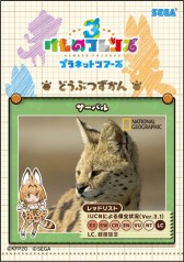 ꡼ No.041 | ֤Υե3 ץͥåȥĥפƯϡȤϤʤޤ륢˥ޥɤˤҲư֤勞勞õݡȽĥǡפ