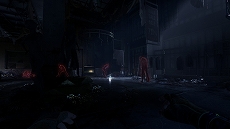 ꡼ No.005 | ֥󥰥饤2 ƥ ҥ塼ޥסõǤ¤ʤɤκǿȡ꡼ΰ򸫤ȥ쥤顼