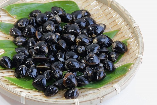 ꡼ No.004Υͥ / ֤ɤǤ⥭å㡼פˤơȻΤߤ䤲 ʤɤȤΥܴ褬