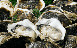 画像ギャラリー No.010のサムネイル画像 / 「どこでもキャッチャー」,隠岐・海士町近海で漁獲された魚介類・海の幸を集めたグルメフェアを開催