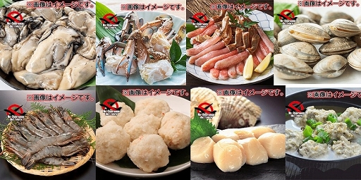 ꡼ No.002Υͥ / ֤ɤǤ⥭å㡼פǡȽܤγեɤšVTuberˤۿPRμ»ܤ